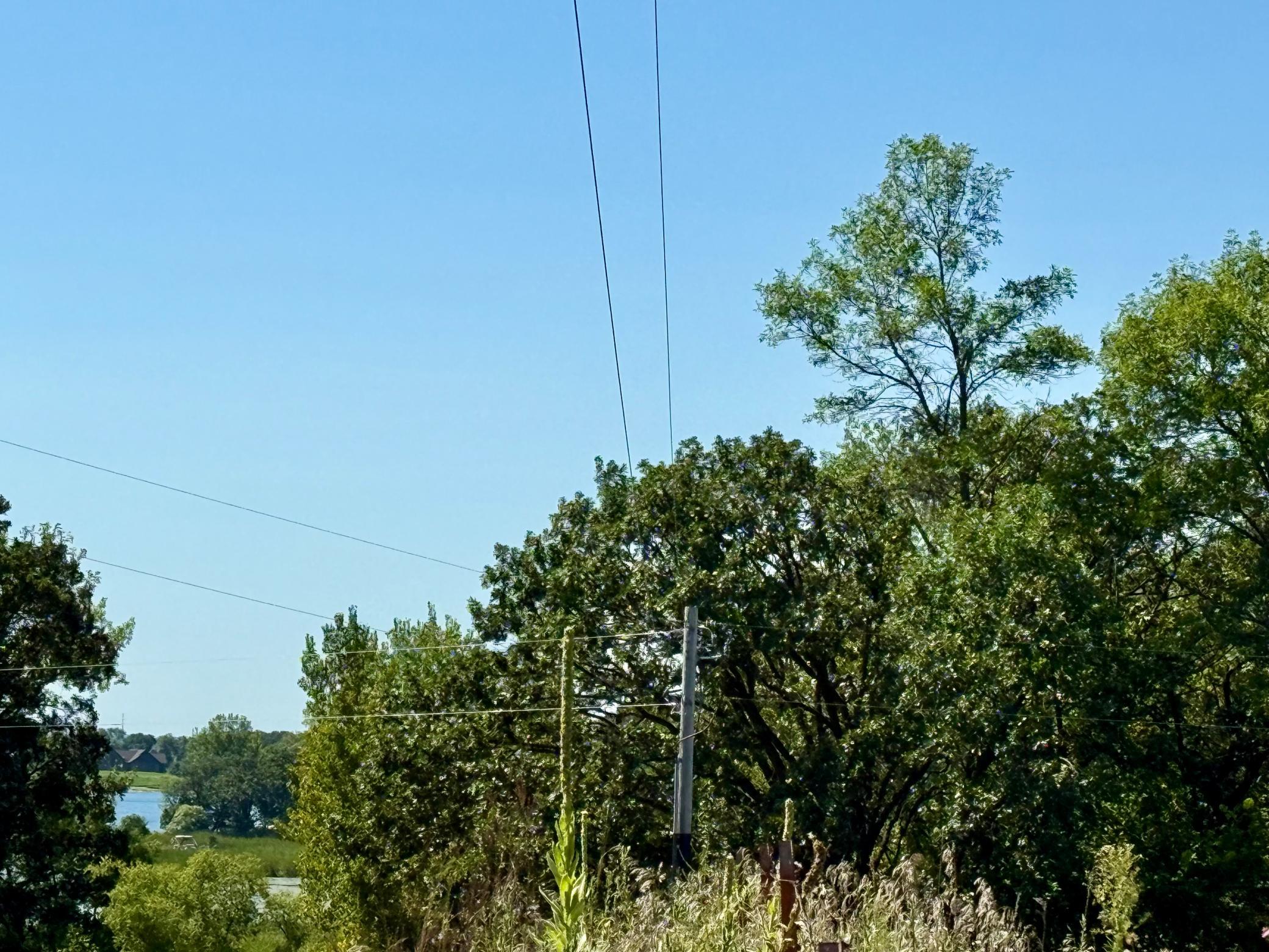 11328 County 11 Sauk Centre, MN 56378 - Photo 50 of 71