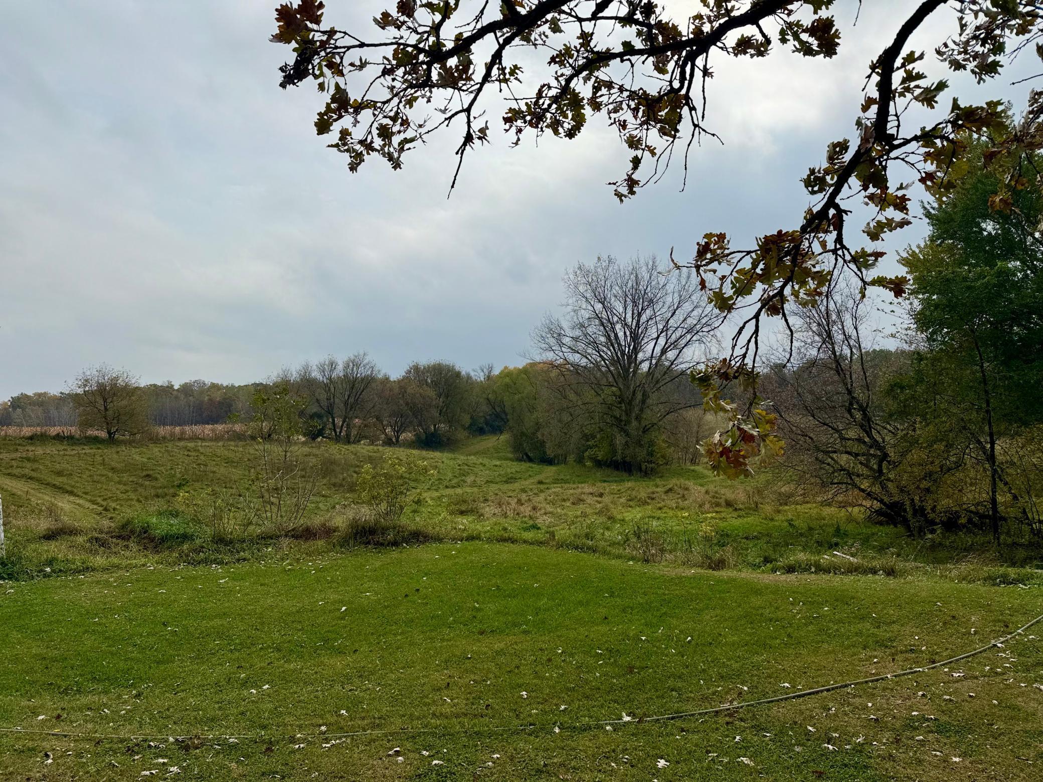 11328 County 11 Sauk Centre, MN 56378 - Photo 51 of 54