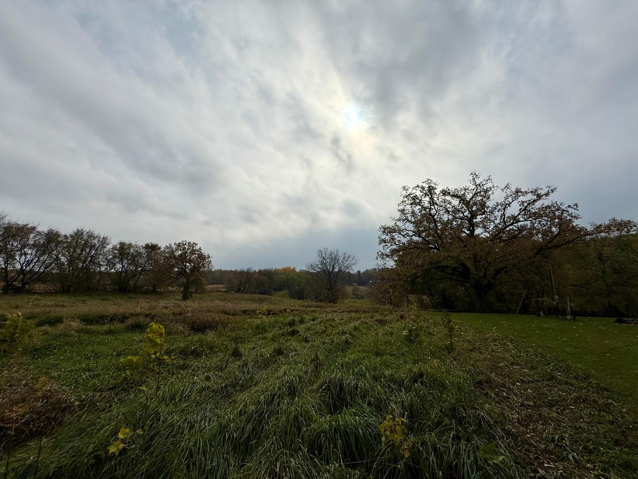 11328 County 11 Sauk Centre, MN 56378 - Photo 61 of 71