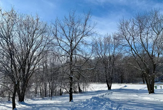 $325,000 | 11328 County 11, Sauk Centre, MN 56378