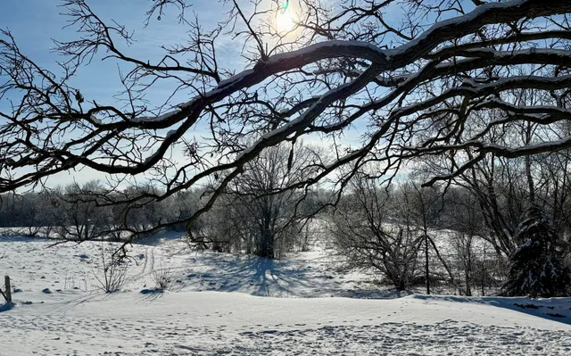 $325,000 | 11328 County 11, Sauk Centre, MN 56378