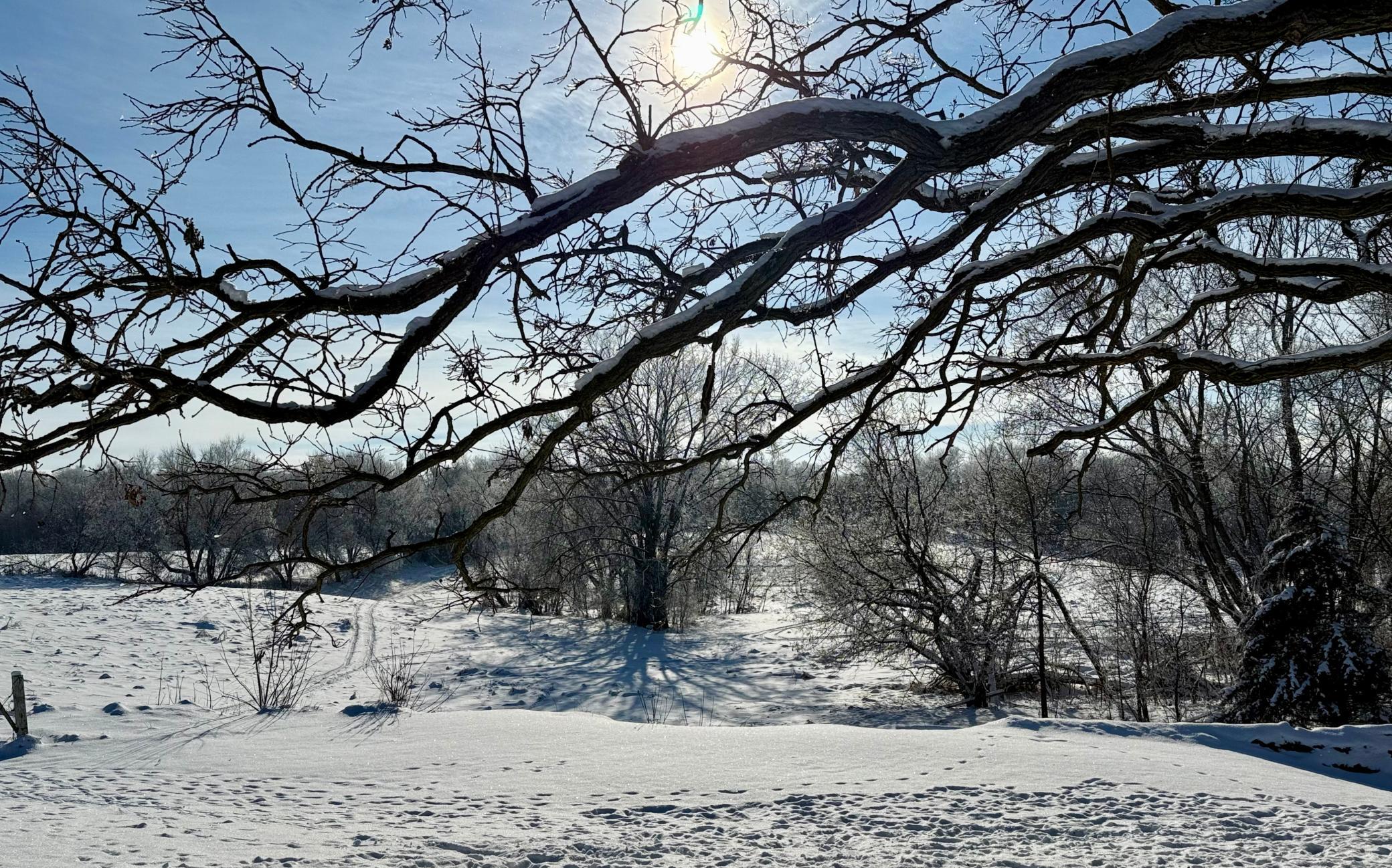 11328 County 11 Sauk Centre, MN 56378 - Photo 64 of 71