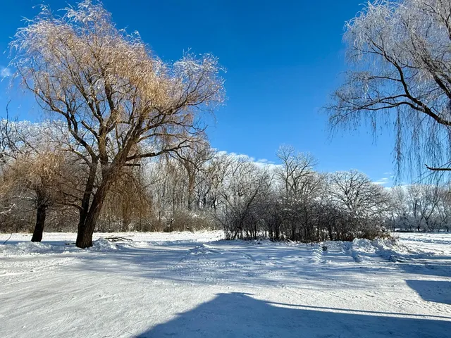 $325,000 | 11328 County 11, Sauk Centre, MN 56378