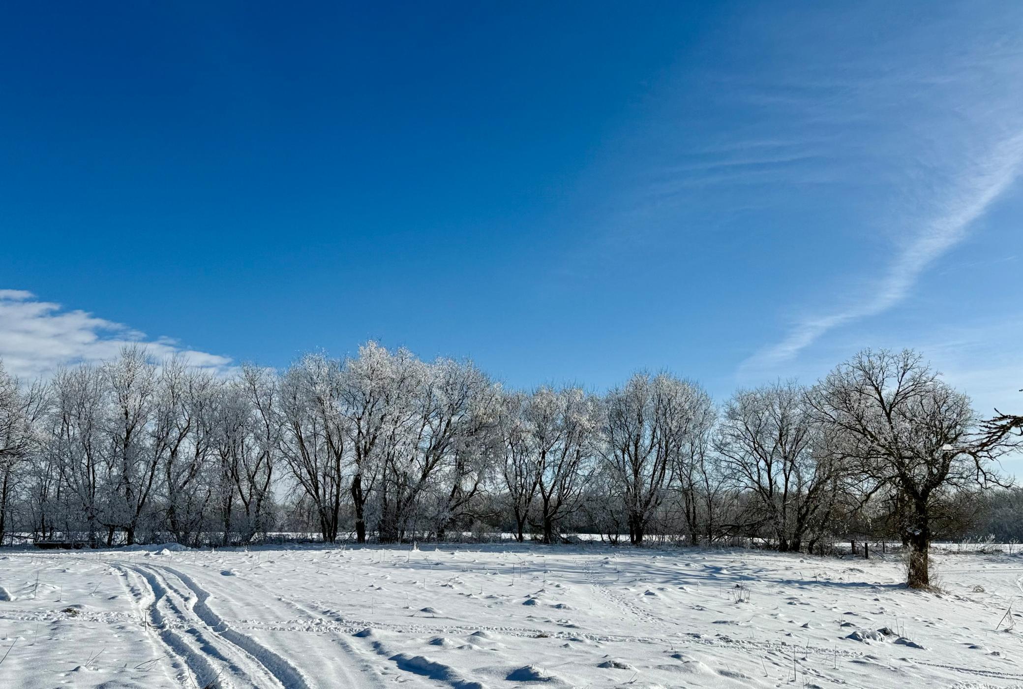 11328 County 11 Sauk Centre, MN 56378 - Photo 9 of 71