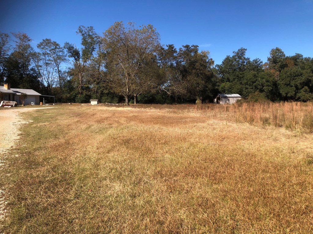 20 Dempsey Road Ashford, AL 36312 - Photo 7 of 31 Pasture