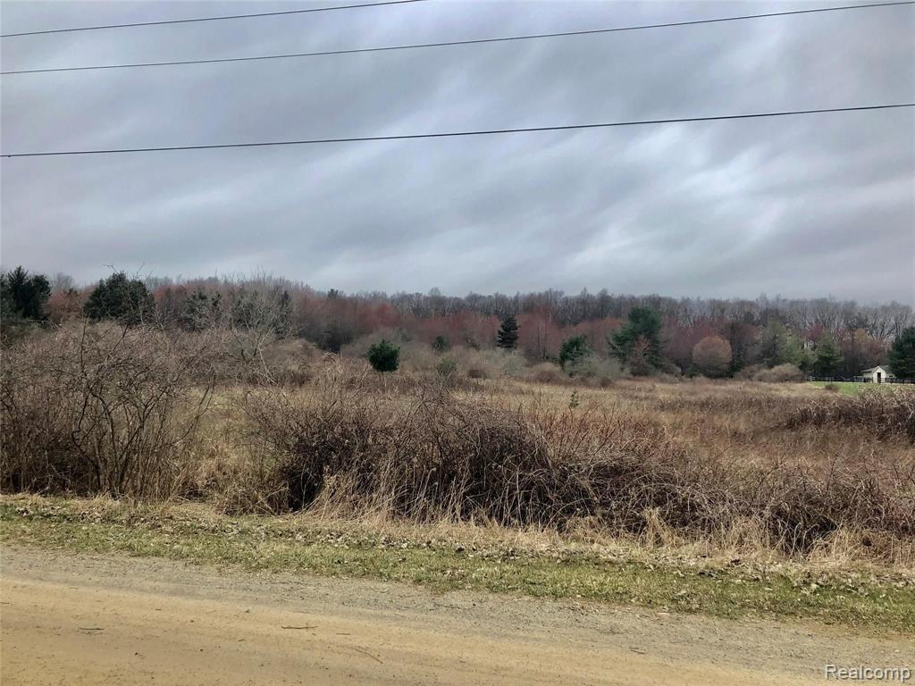 0 Joy Road Metamora, MI 48455 - Photo 16 of 17