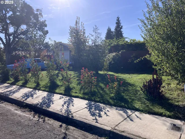 a view of a pathway both side of yard