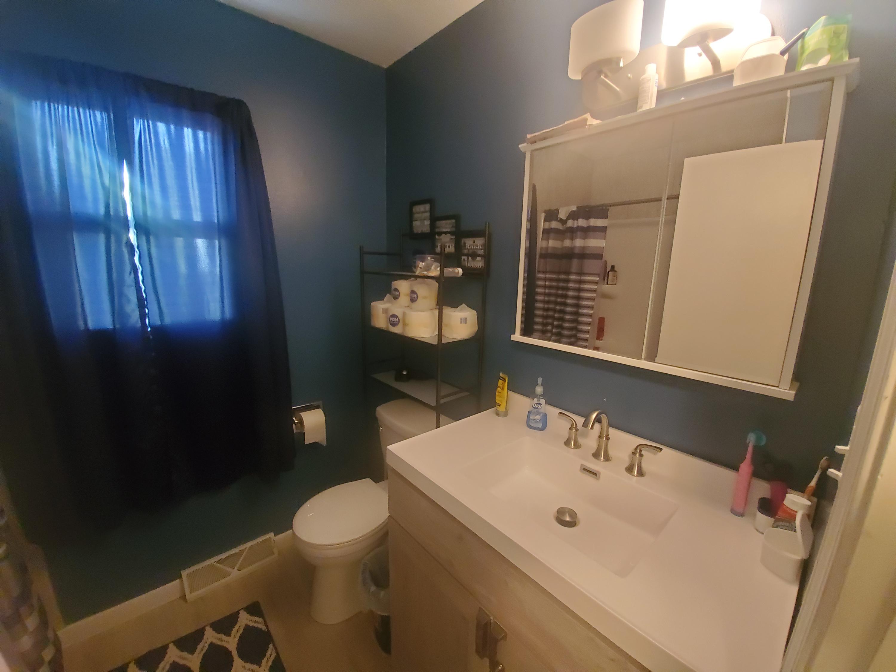 527 South Hooker Avenue Three Rivers, MI 49093 - Photo 12 of 15 20210427_122015