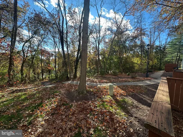 a view of a yard with trees