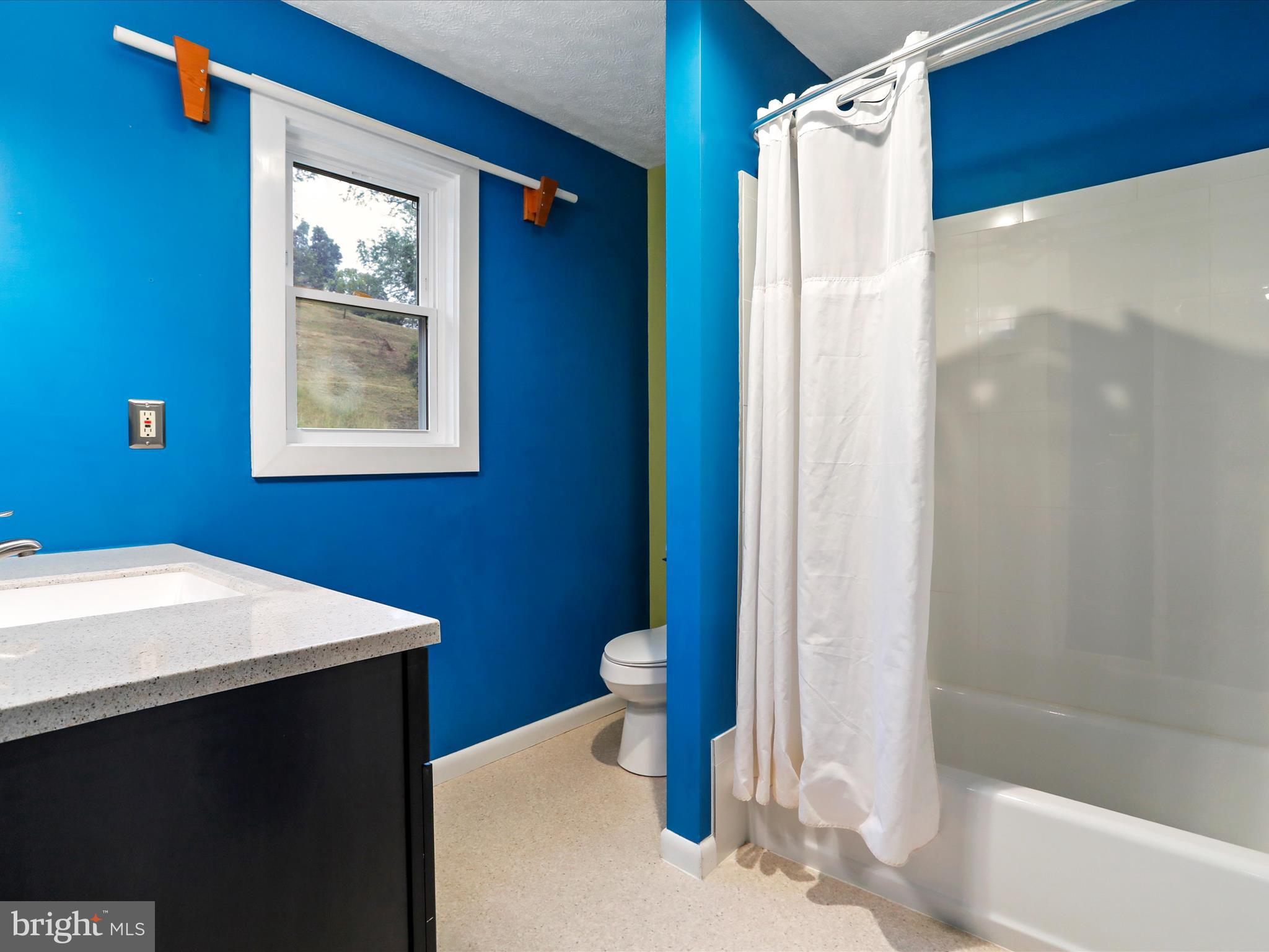 9475 Waxler Road Keyser, WV 26726 - Photo 27 of 61 a bathroom with a sink a toilet and shower