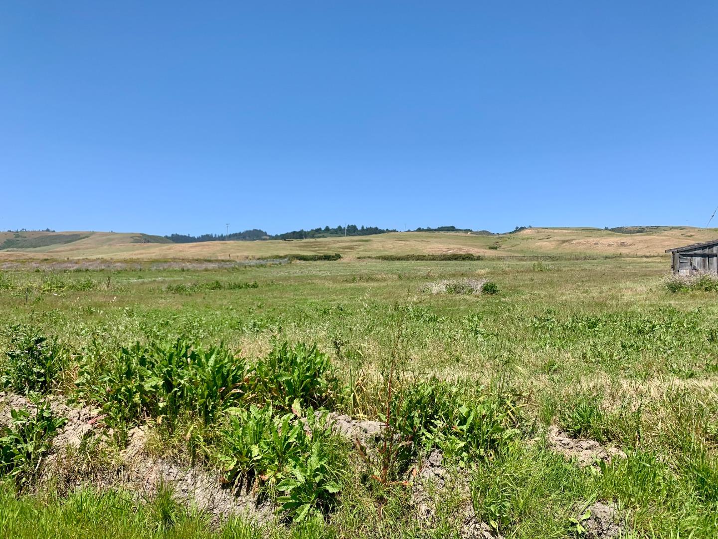 2 3rd Avenue Davenport, CA 95017 - Photo 6 of 19 a view of an ocean