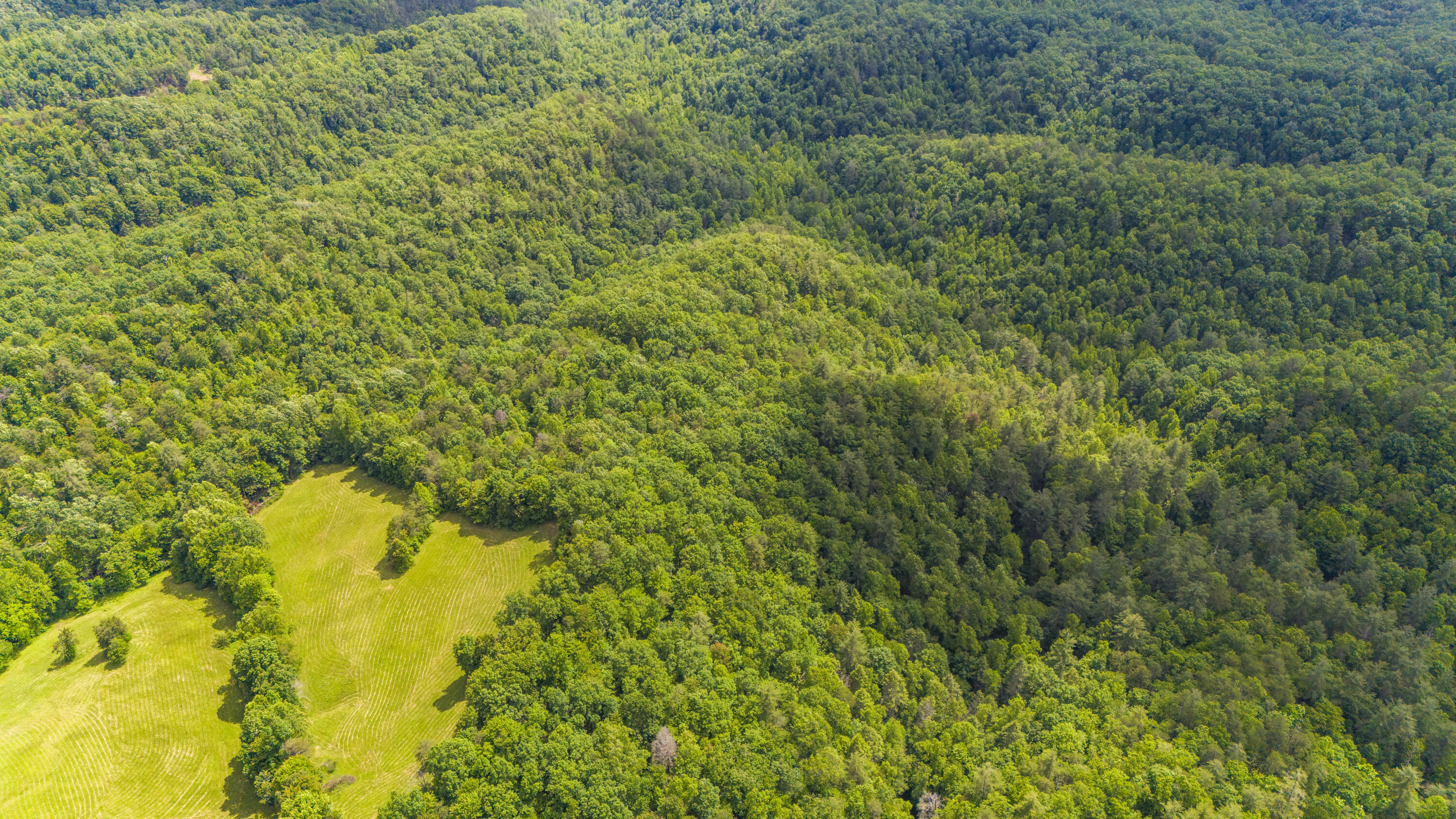 0 Shoemaker Ridge Zoe, KY 41397 - Photo 33 of 33 DJI_20250608152009_0022_D