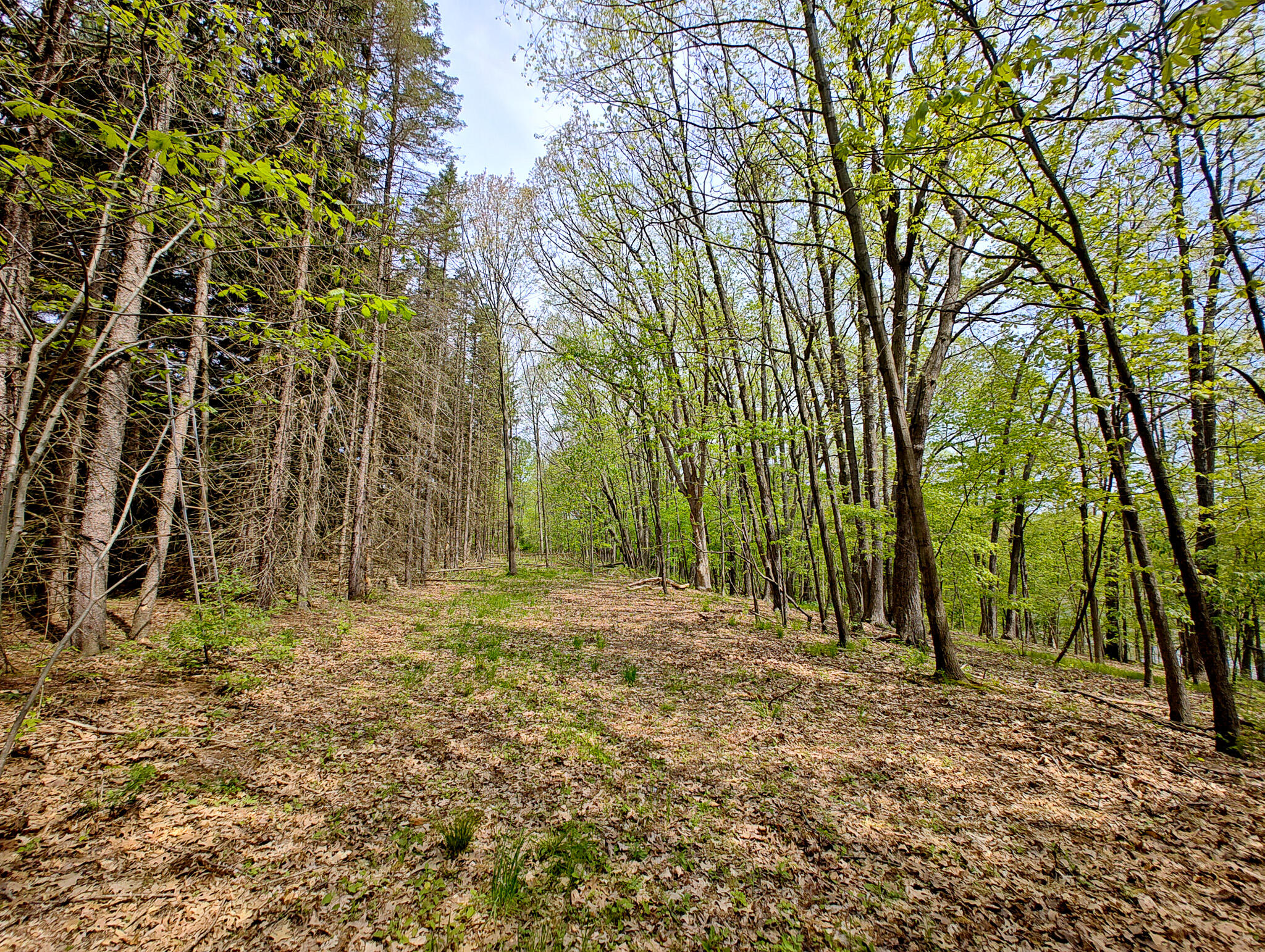 Tipsico Lake Road Fenton, MI 48430 - Photo 6 of 18 IMG_20260518_115833037_HDR