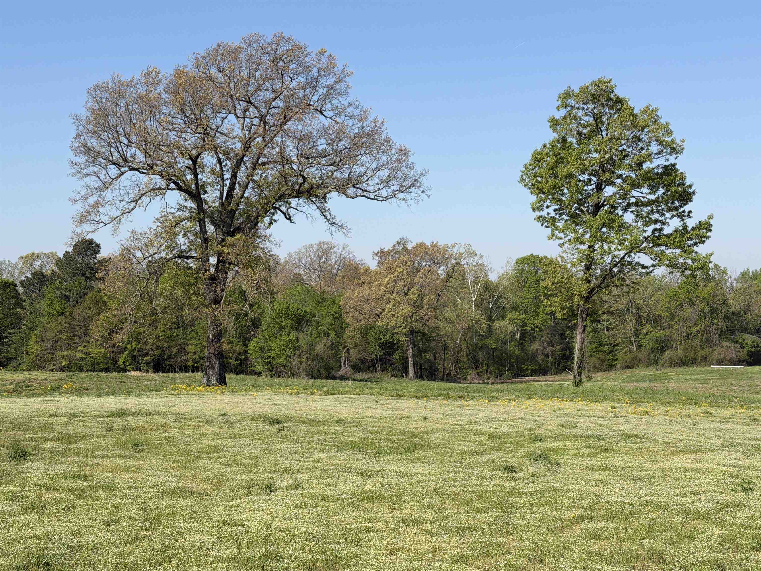 a view of a green field