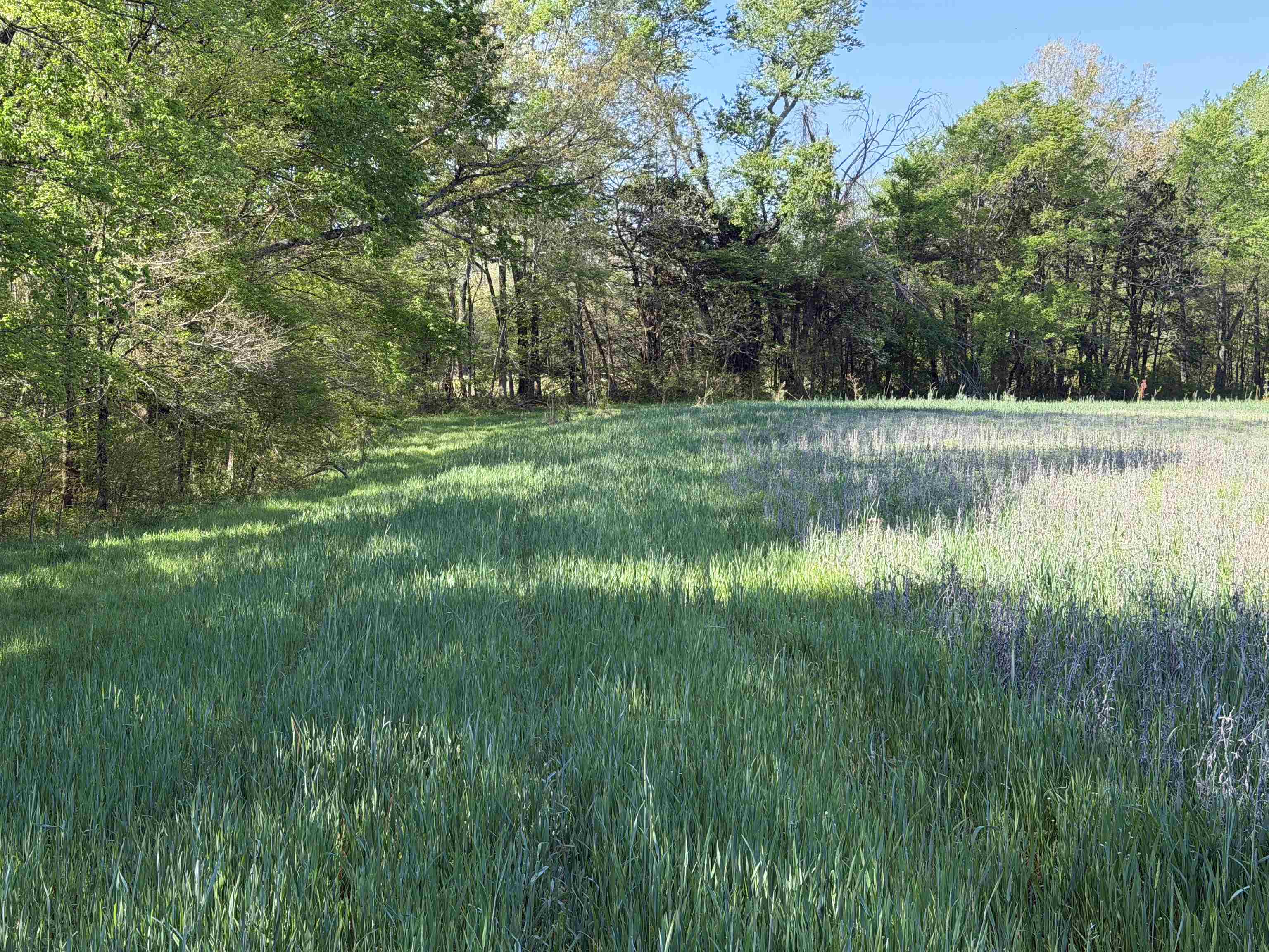 A Burnett Road Williston, TN 38076 - Photo 12 of 25 a view of outdoor space with a lake view