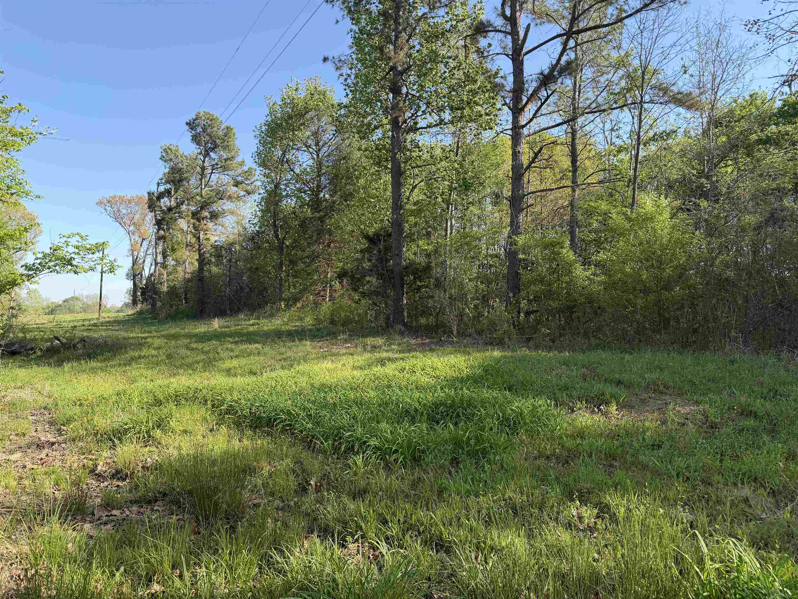 A Burnett Road Williston, TN 38076 - Photo 15 of 25 a view of outdoor space with deck and yard