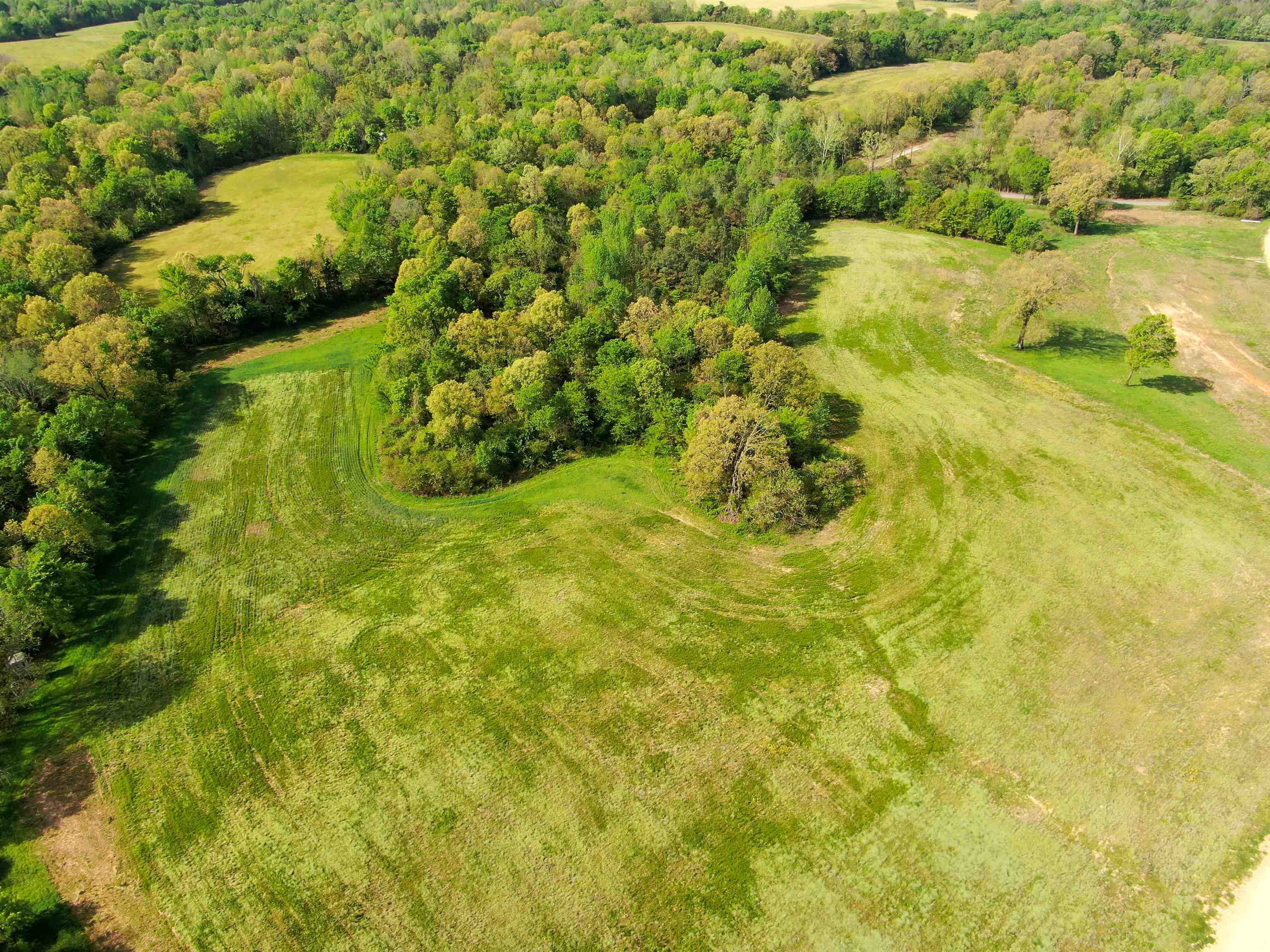 A Burnett Road Williston, TN 38076 - Photo 20 of 25 a view of a big yard with green space and plants