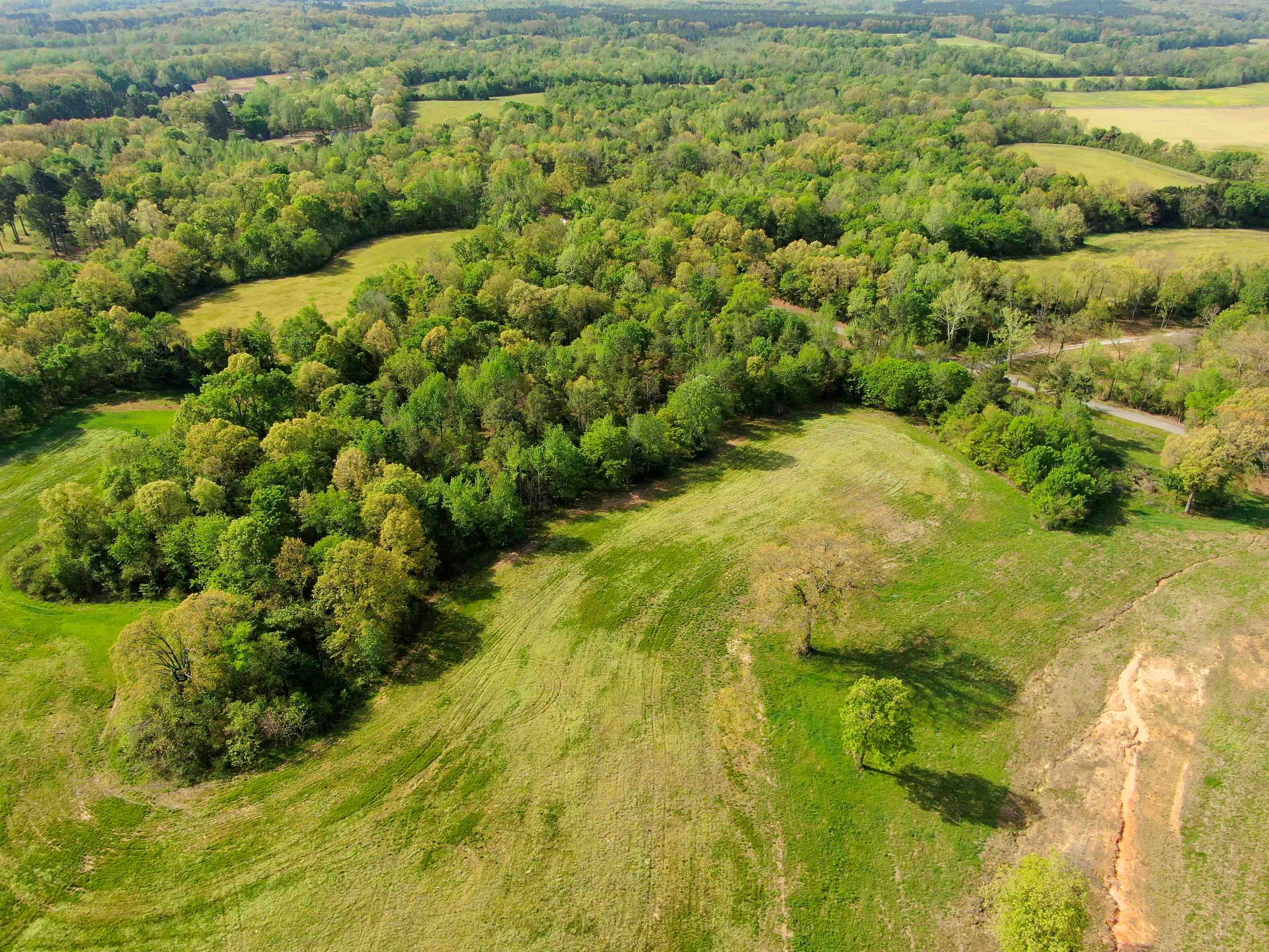 A Burnett Road Williston, TN 38076 - Photo 2 of 25 a view of a garden with plants