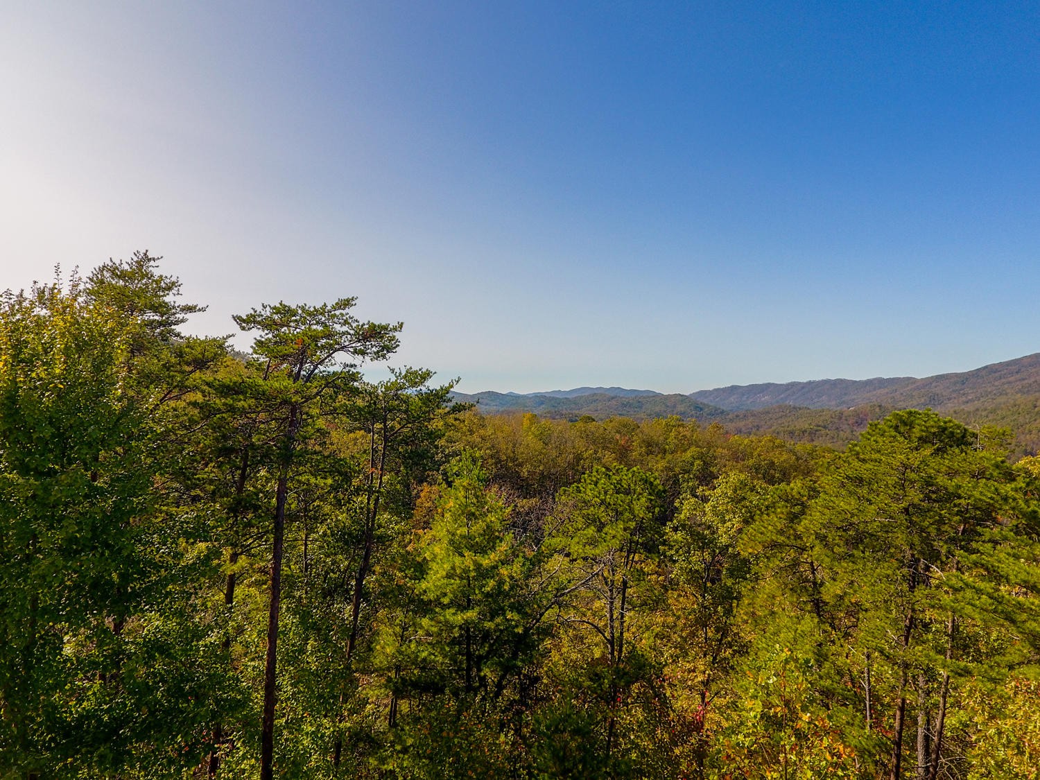 5039 Long Rifle Road Walland, TN 37886 - Photo 10 of 10 Gallery Image 10