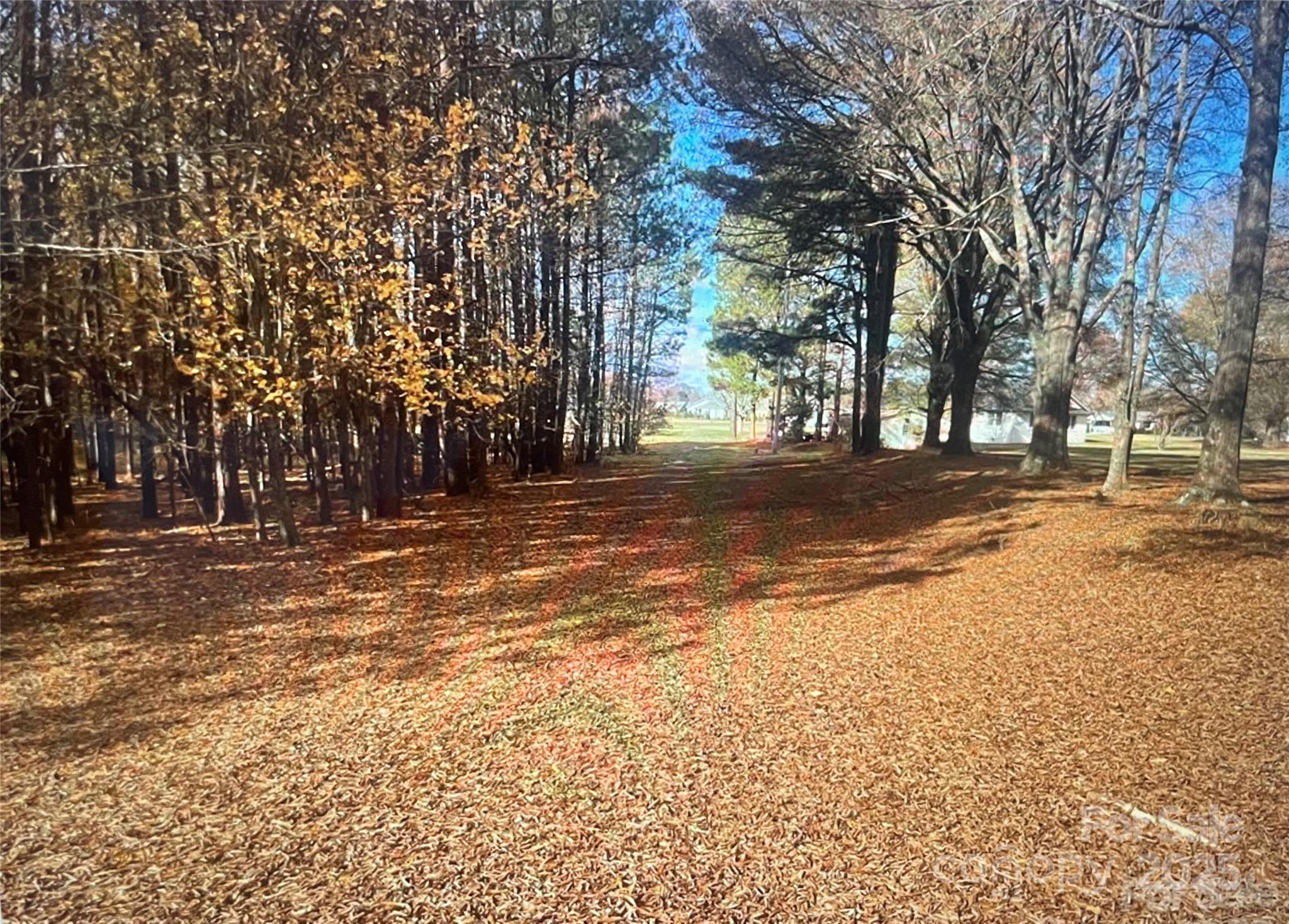 14818 Hooks Road Matthews, NC 28105 - Photo 4 of 9