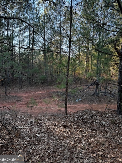 28.59-acres In Henry County Jackson, GA 30233 - Photo 3 of 5 a view of a forest filled with trees