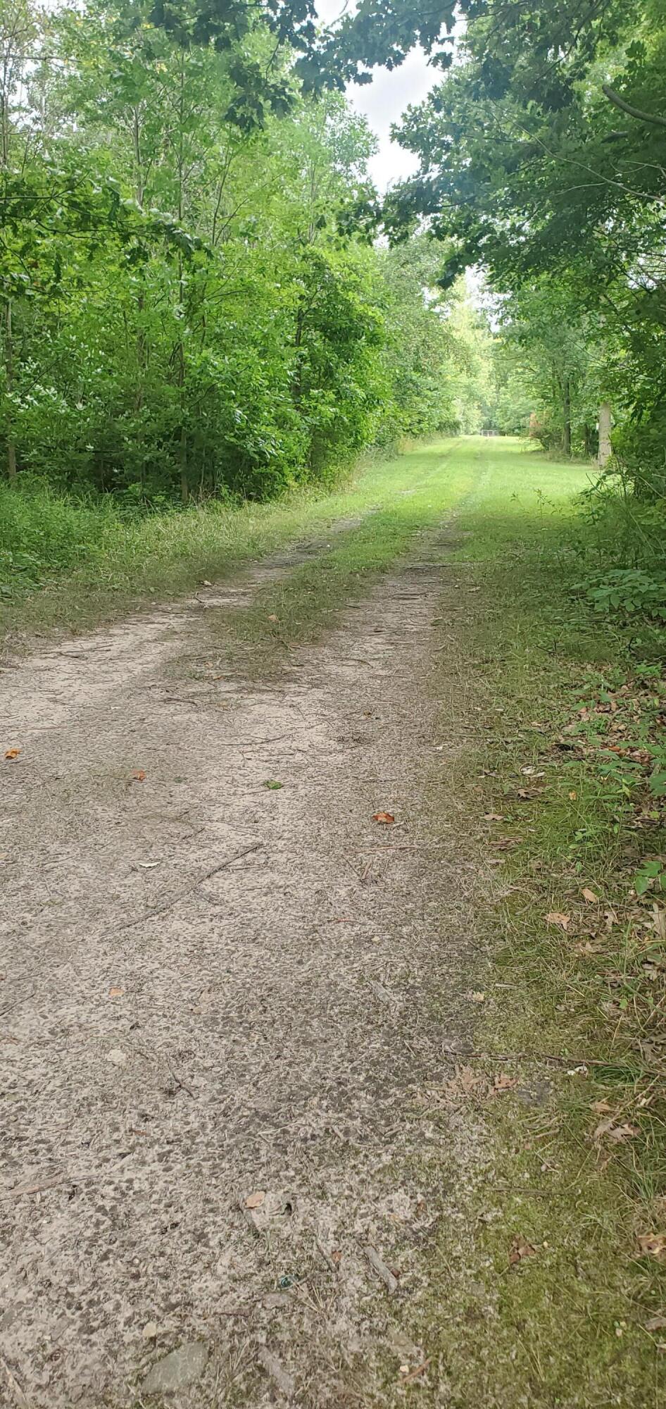 West Warren Woods Road Lakeside, MI 49128 - Photo 8 of 13 Access Drive