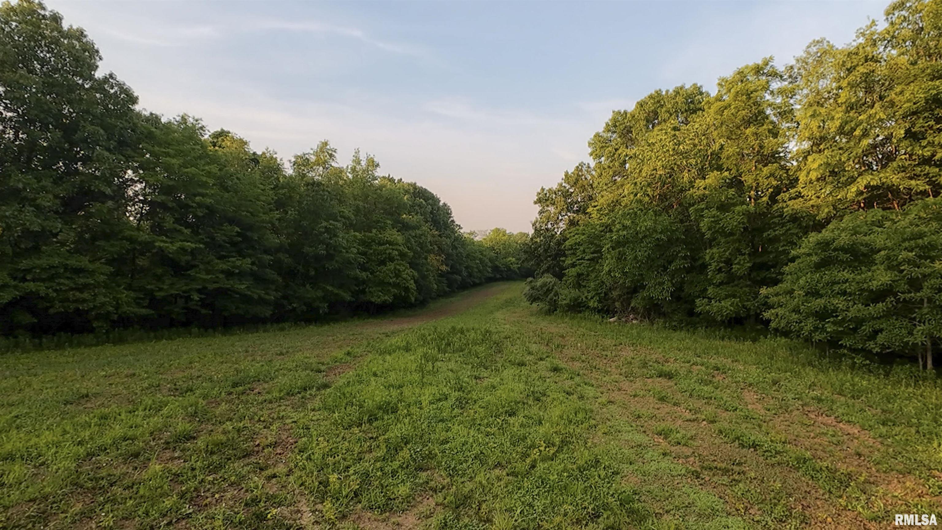 0 North Tarters Ferry Lane Smithfield, IL 61477 - Photo 18 of 43
