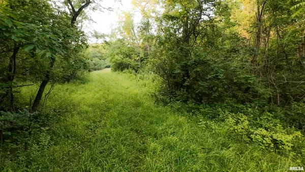 $360,960 | 0 North Tarters Ferry Lane, Smithfield, IL 61477