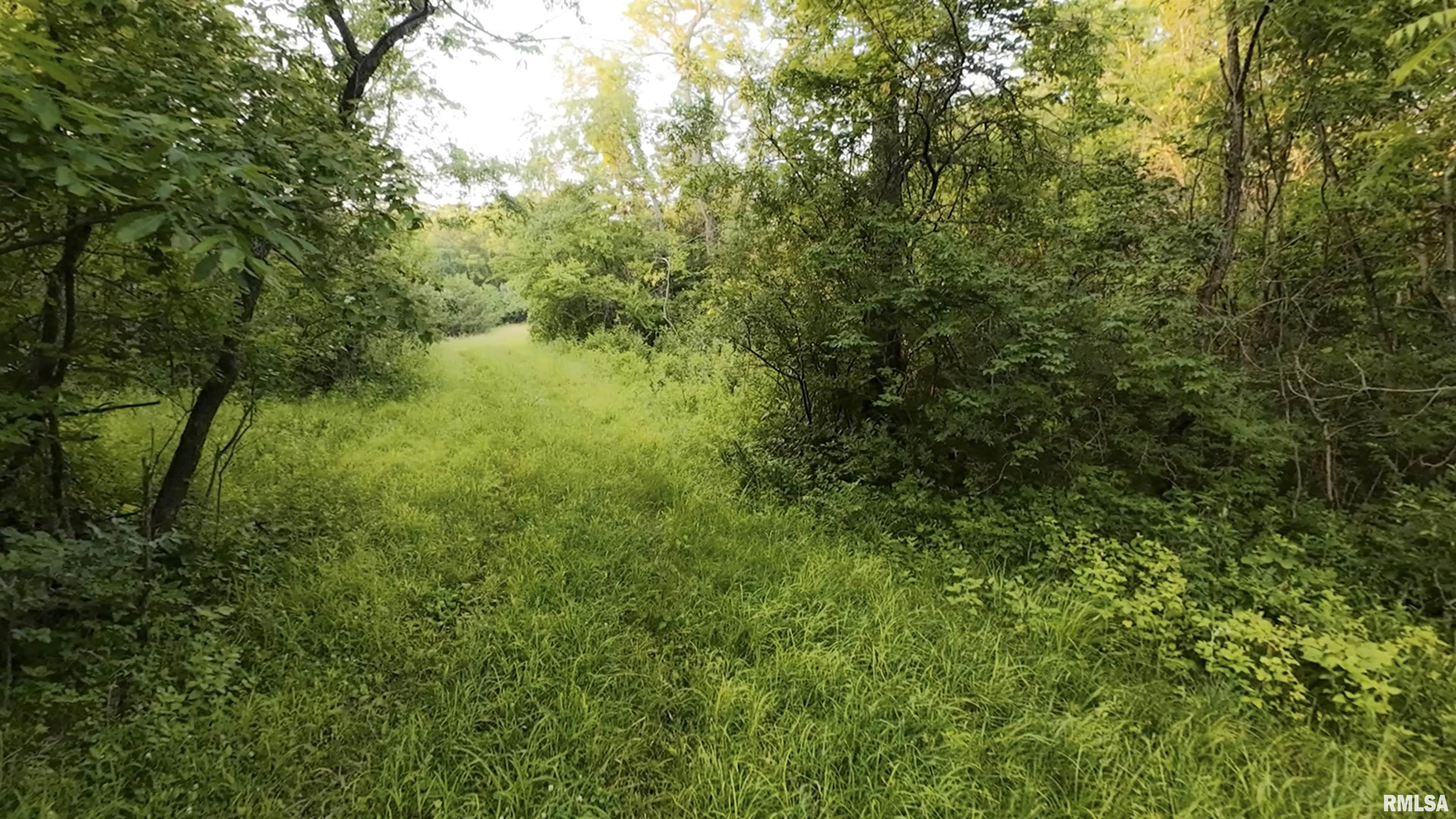 0 North Tarters Ferry Lane Smithfield, IL 61477 - Photo 19 of 43