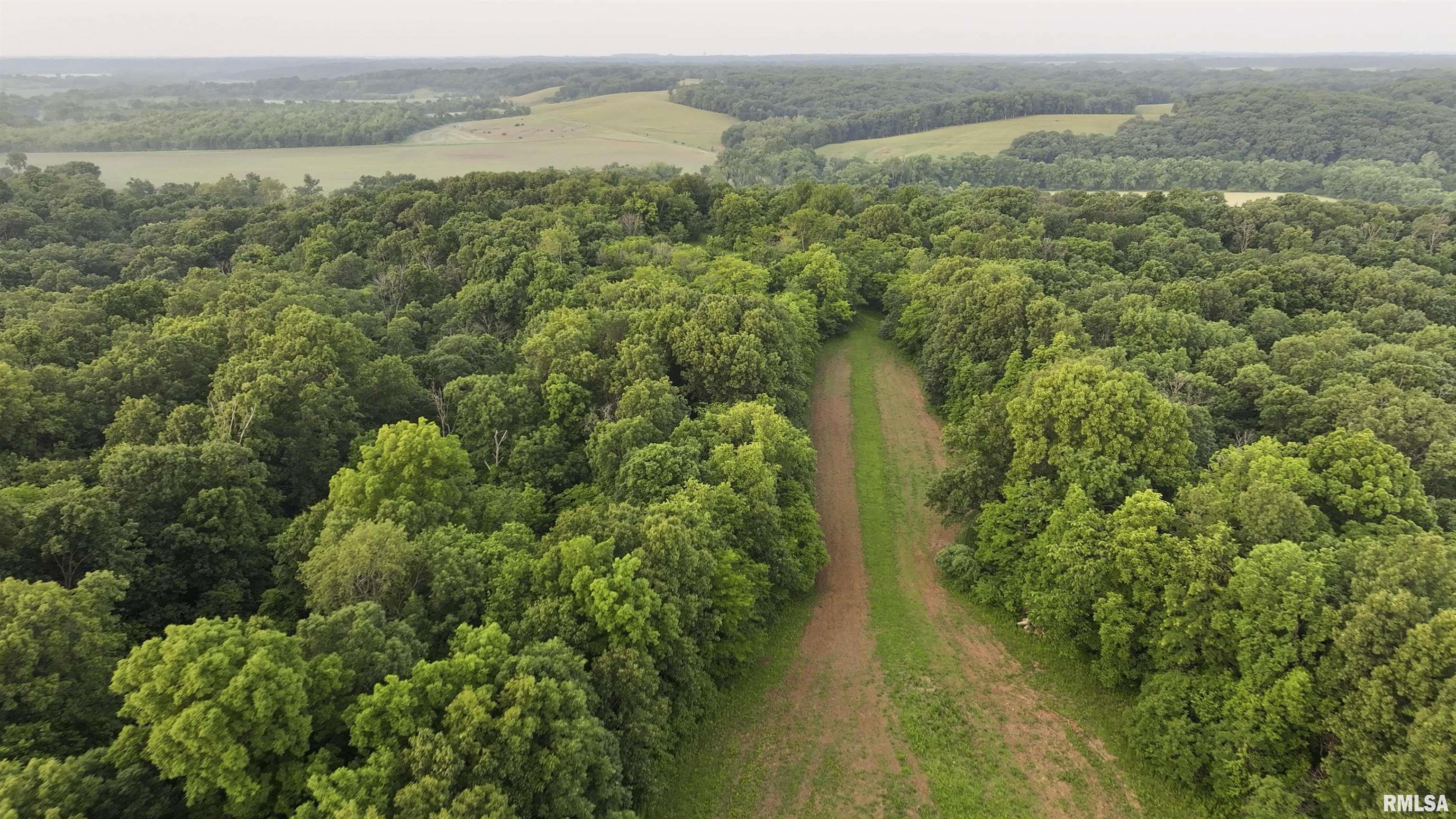 0 North Tarters Ferry Lane Smithfield, IL 61477 - Photo 2 of 43