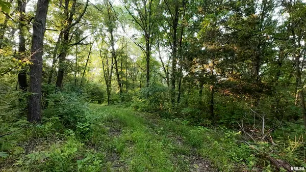 $360,960 | 0 North Tarters Ferry Lane, Smithfield, IL 61477