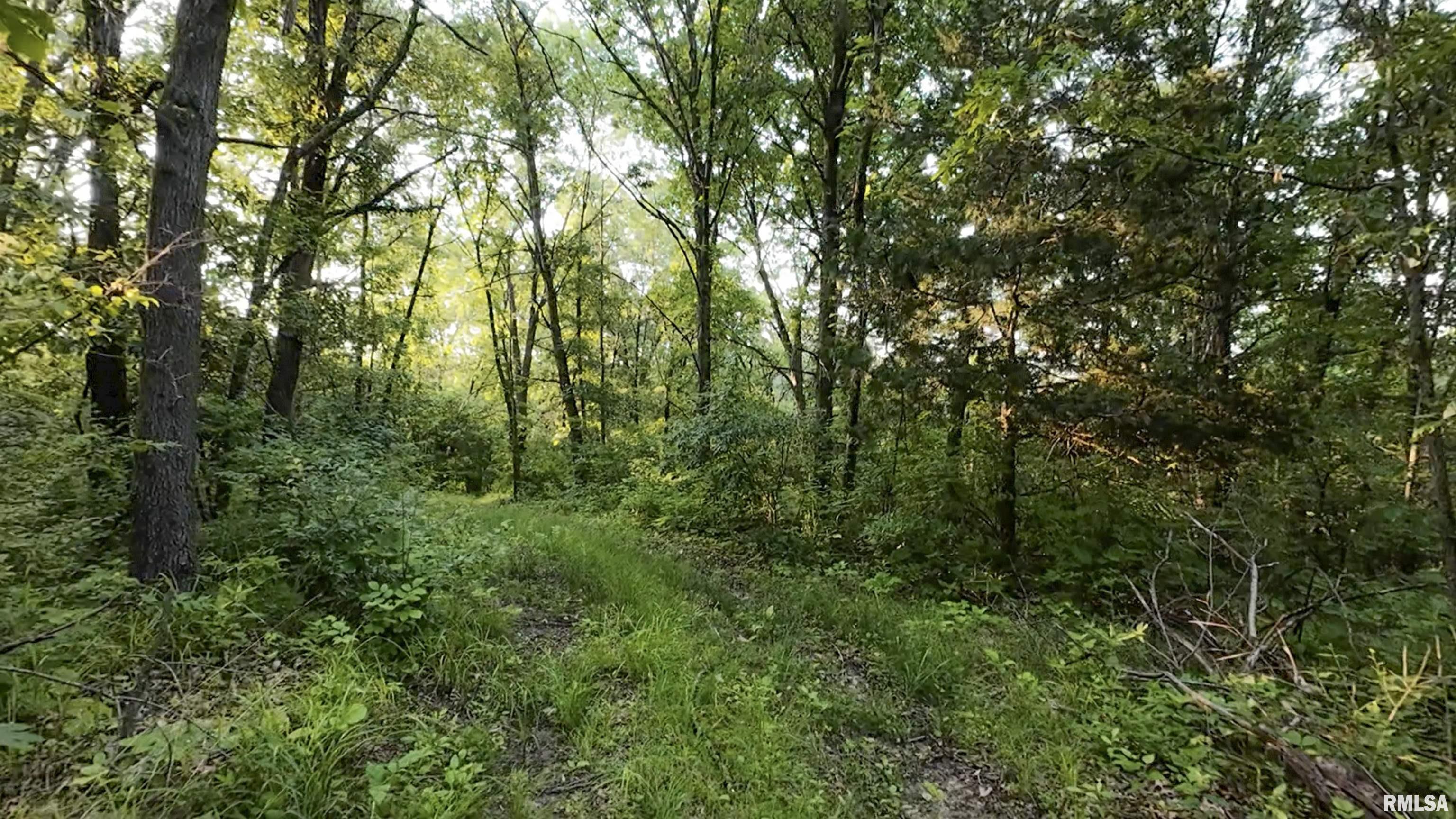 0 North Tarters Ferry Lane Smithfield, IL 61477 - Photo 21 of 43
