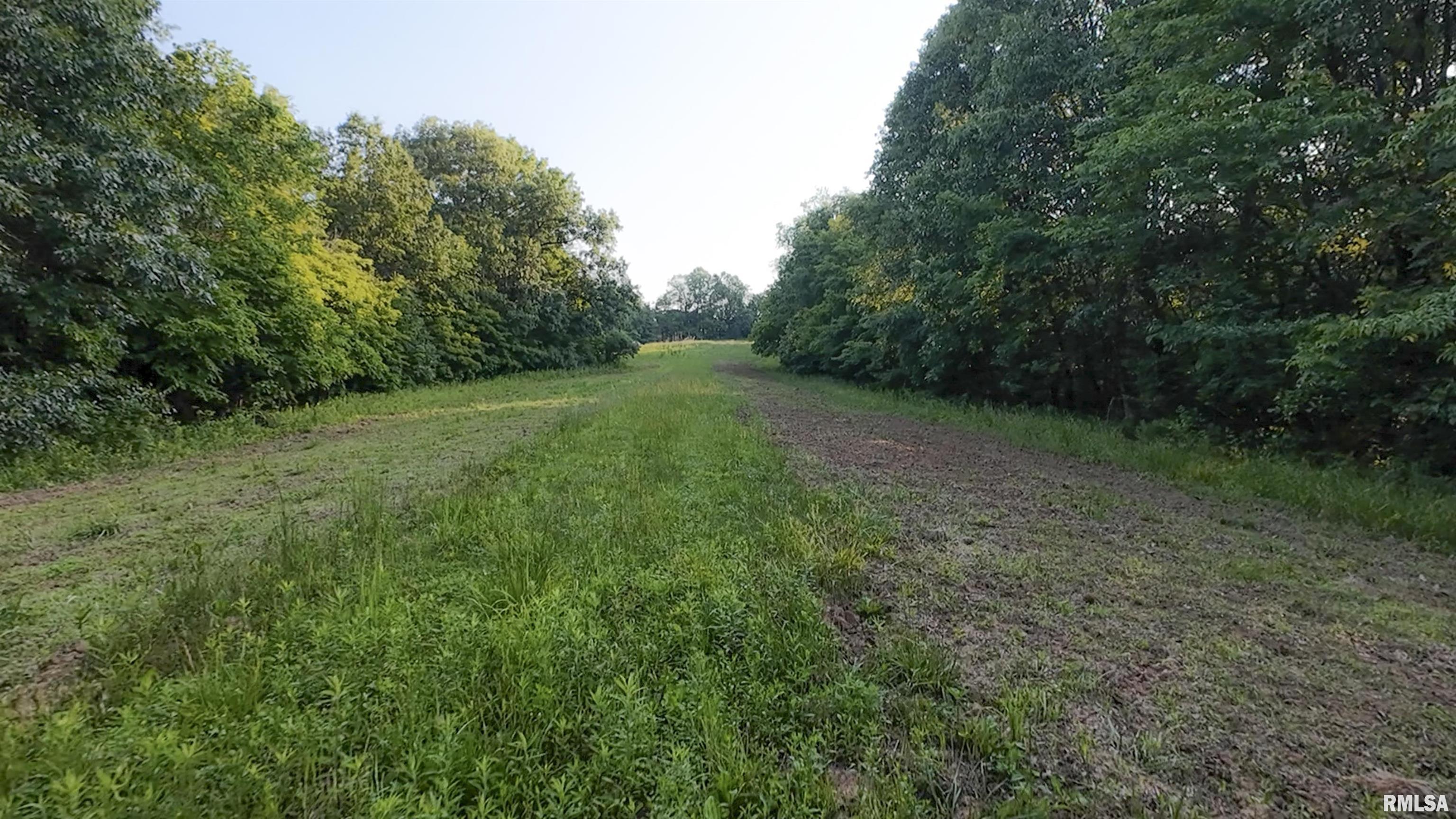0 North Tarters Ferry Lane Smithfield, IL 61477 - Photo 23 of 43