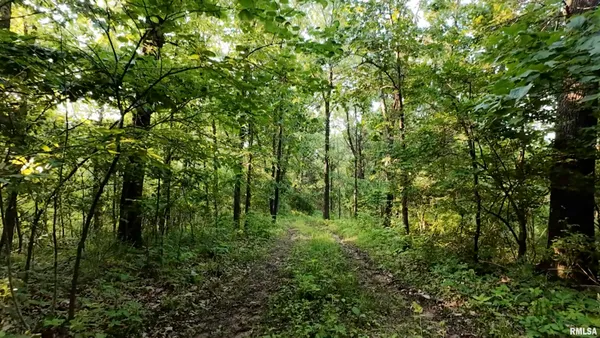 $360,960 | 0 North Tarters Ferry Lane, Smithfield, IL 61477