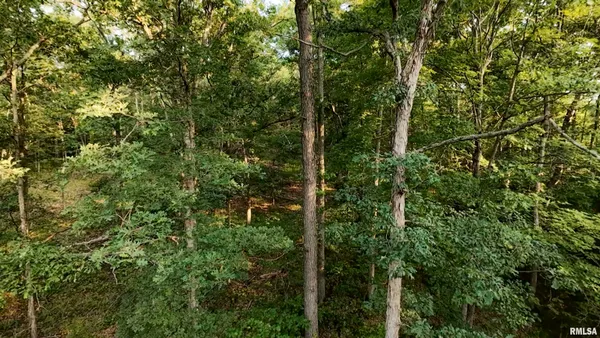 $360,960 | 0 North Tarters Ferry Lane, Smithfield, IL 61477