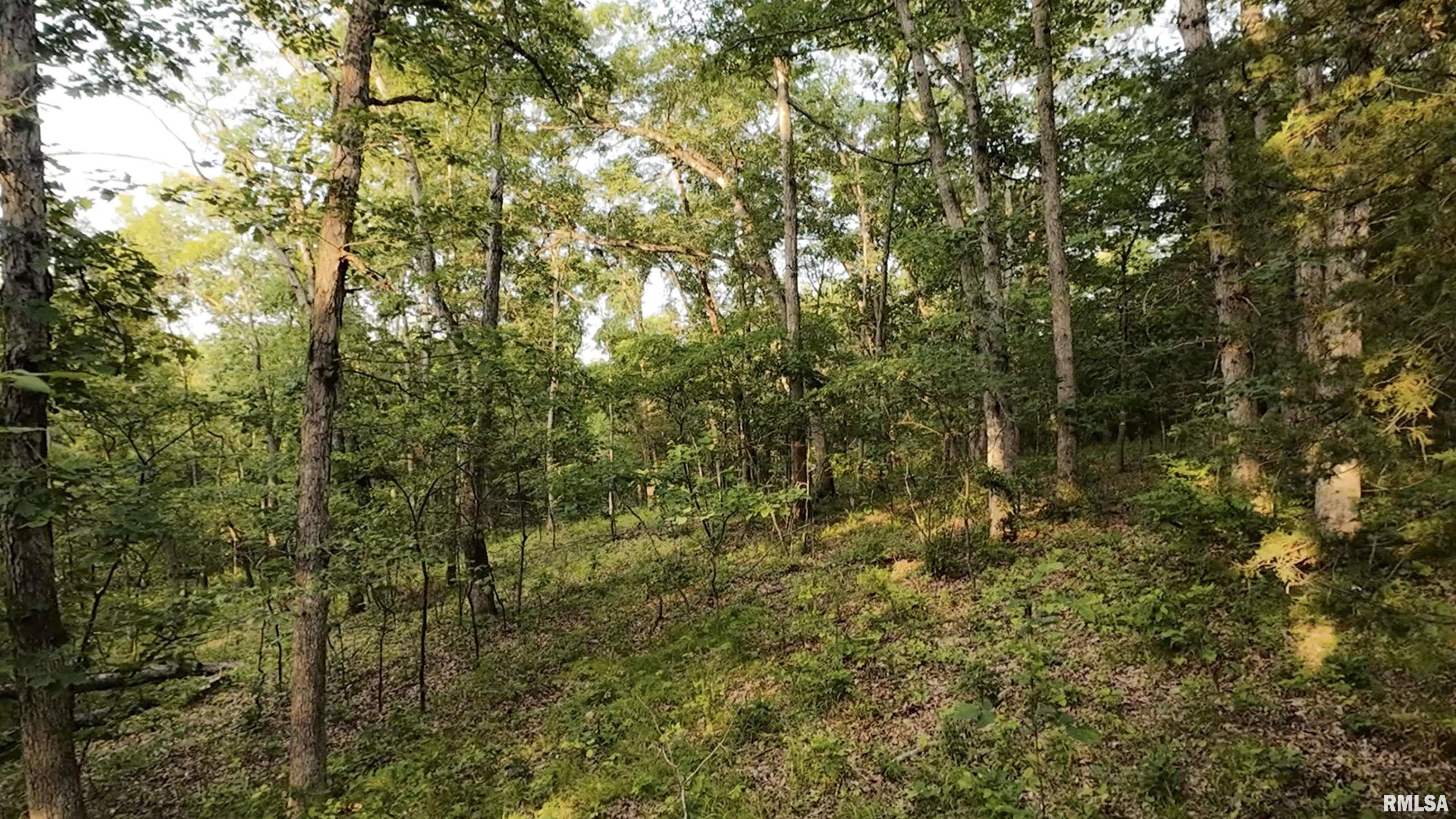 0 North Tarters Ferry Lane Smithfield, IL 61477 - Photo 26 of 43