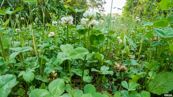 $360,960 | 0 North Tarters Ferry Lane, Smithfield, IL 61477