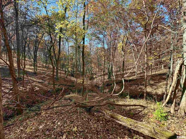 $360,960 | 0 North Tarters Ferry Lane, Smithfield, IL 61477