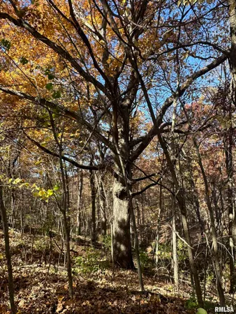 $360,960 | 0 North Tarters Ferry Lane, Smithfield, IL 61477