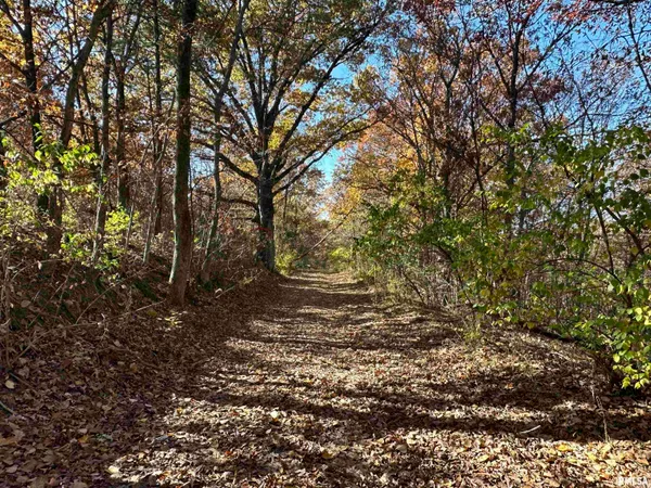 $360,960 | 0 North Tarters Ferry Lane, Smithfield, IL 61477
