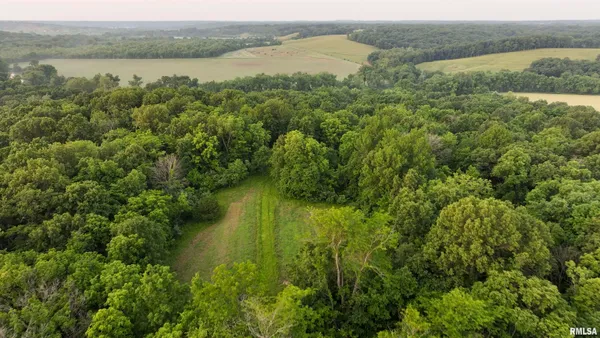 $360,960 | 0 North Tarters Ferry Lane, Smithfield, IL 61477