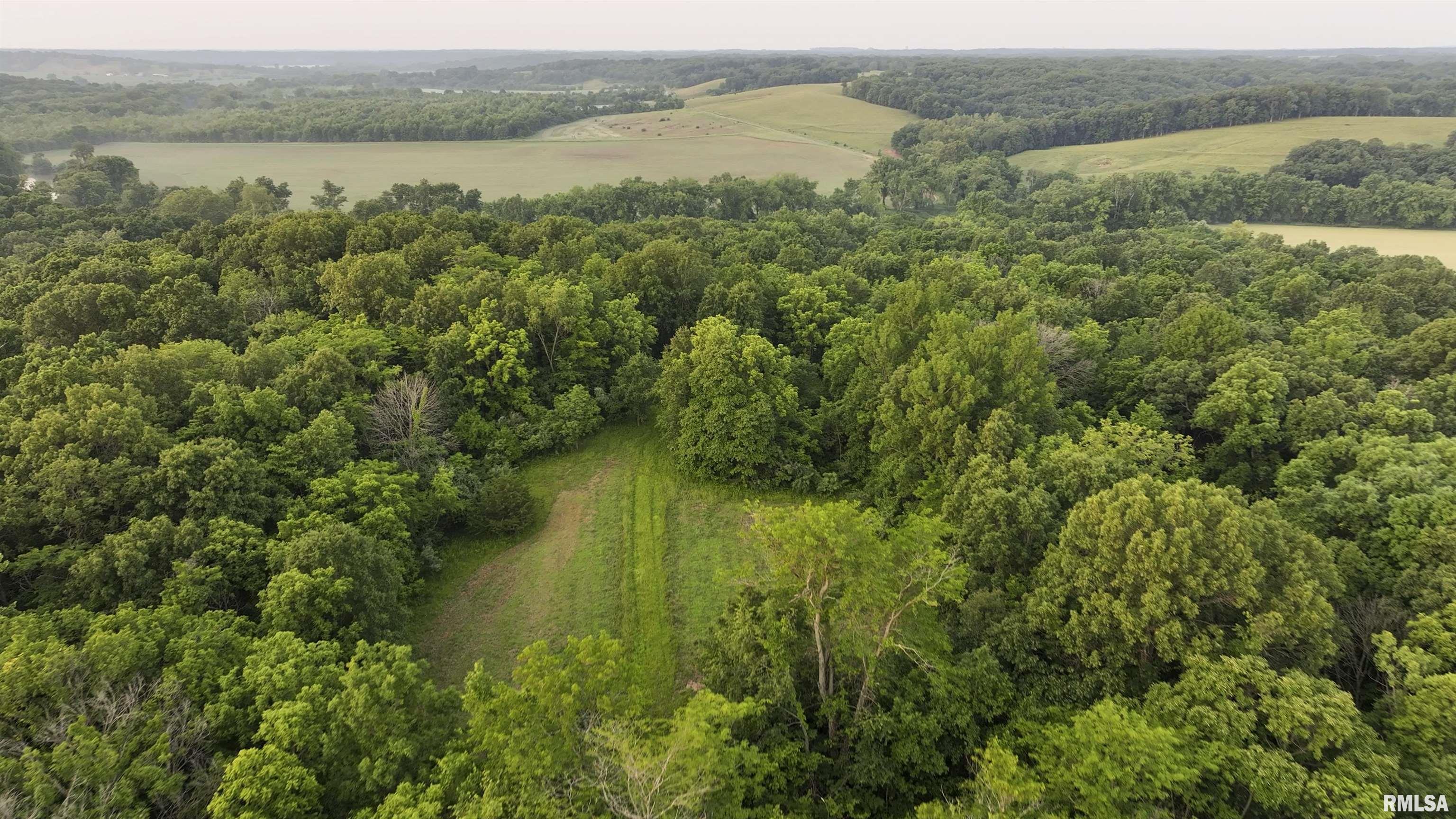 0 North Tarters Ferry Lane Smithfield, IL 61477 - Photo 3 of 43