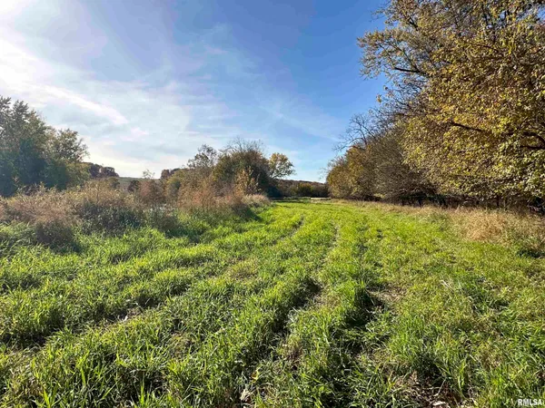 $360,960 | 0 North Tarters Ferry Lane, Smithfield, IL 61477