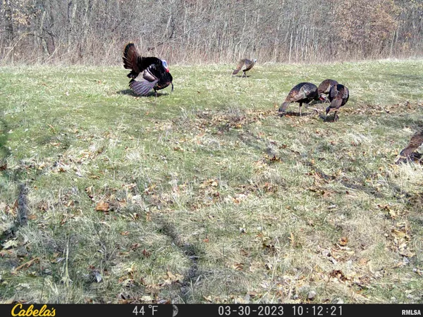 $360,960 | 0 North Tarters Ferry Lane, Smithfield, IL 61477