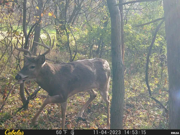 $360,960 | 0 North Tarters Ferry Lane, Smithfield, IL 61477