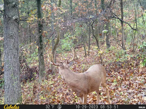 $360,960 | 0 North Tarters Ferry Lane, Smithfield, IL 61477