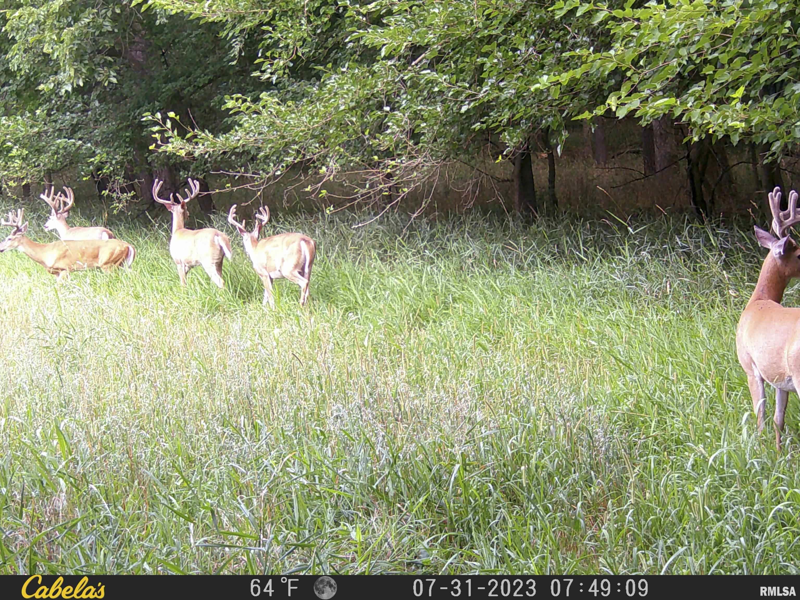0 North Tarters Ferry Lane Smithfield, IL 61477 - Photo 41 of 43