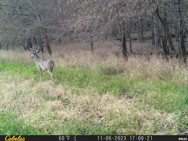 $360,960 | 0 North Tarters Ferry Lane, Smithfield, IL 61477