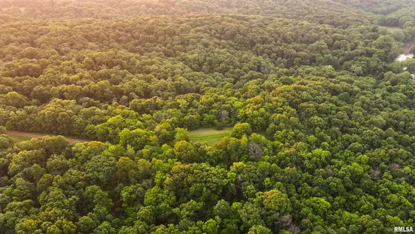 $360,960 | 0 North Tarters Ferry Lane, Smithfield, IL 61477