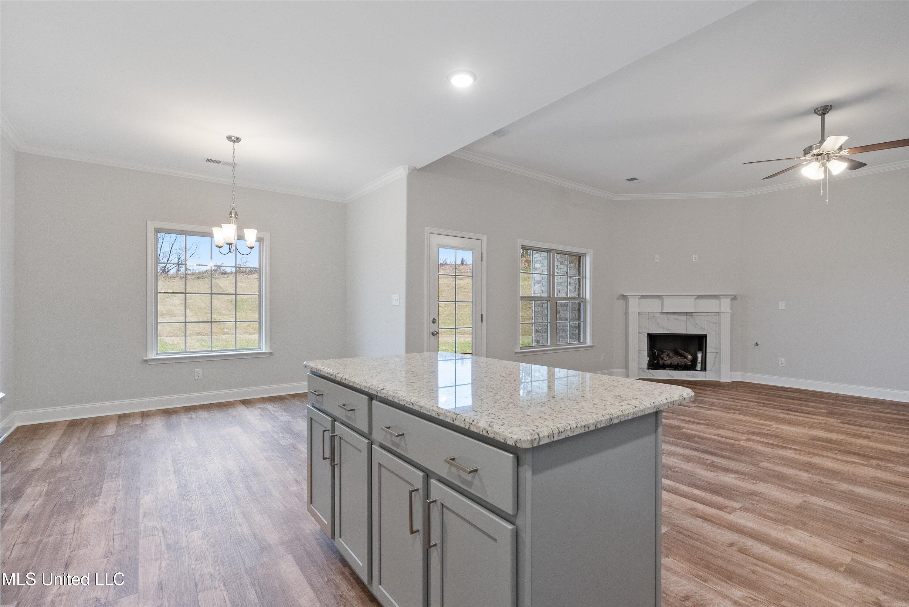 1734 Winningham Drive Hernando, MS 38651 - Photo 11 of 27 10-DSC03489